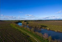 Fantástica vinícola com 343 hectares em Maule, Chile